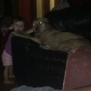 Meet your Posher, Nathan